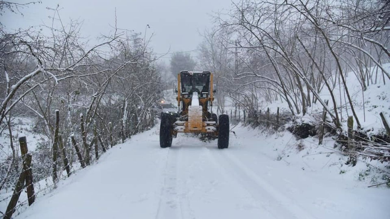 Giresun'da kar yağışı nedeniyle kapanan köy yollarından 10'u ulaşıma açıldı
