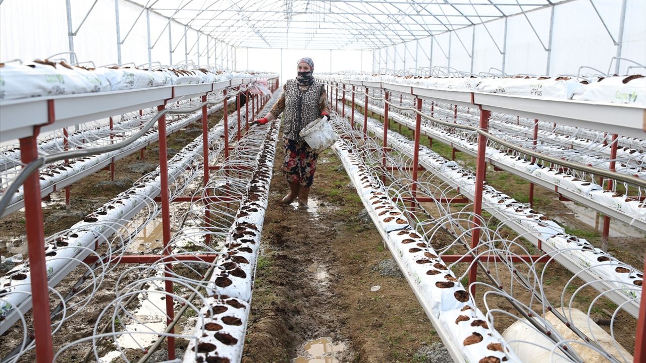 DOKAP'tan üretici ve çiftçiye 4 yılda 35 milyon lira destek