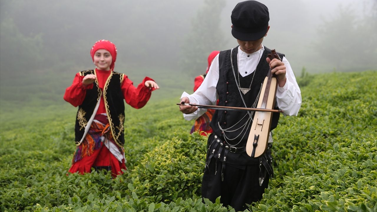 Giresun'da çay hasadı etkinliği düzenlendi