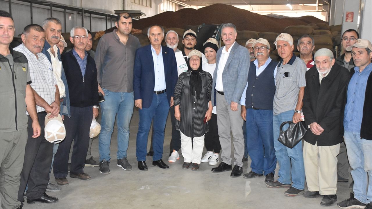 TMO Genel Müdürü Güldal, Giresun'da fındık alım merkezlerini ziyaret etti