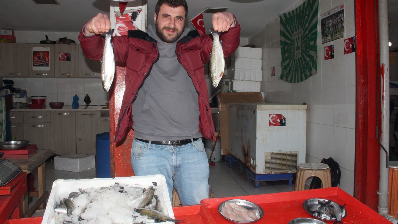 Batı Karadeniz’de palamut bolluğu yaşanırken, Doğu Karadenizli balıkçılar ise beklemede