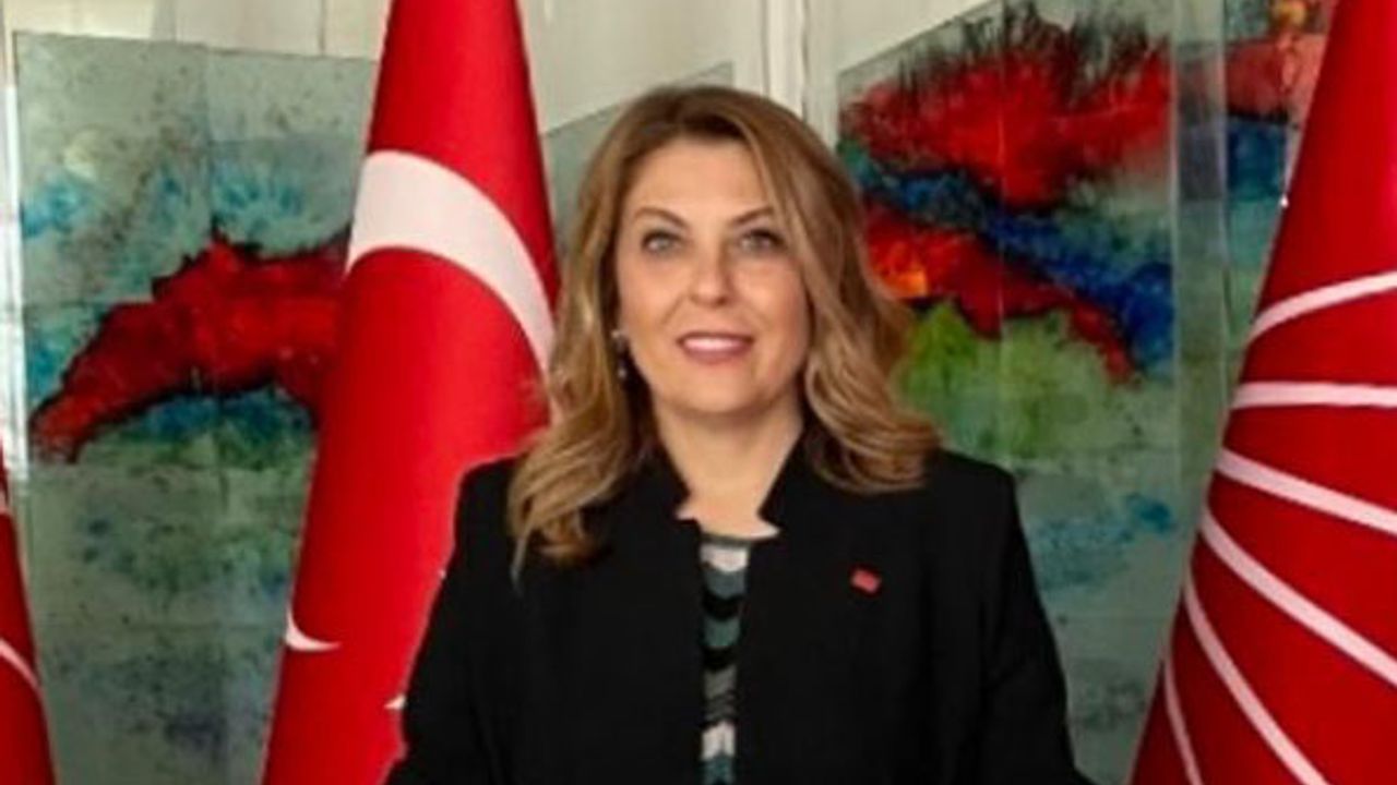 CHP Giresun Milletvekili Elvan Işık Gezmiş, "Seçim asıl şimdi başlıyor!