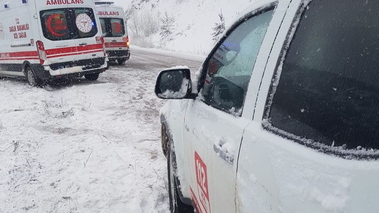 Giresun'da devrilen kamyonetteki 4 kişi yaralandı