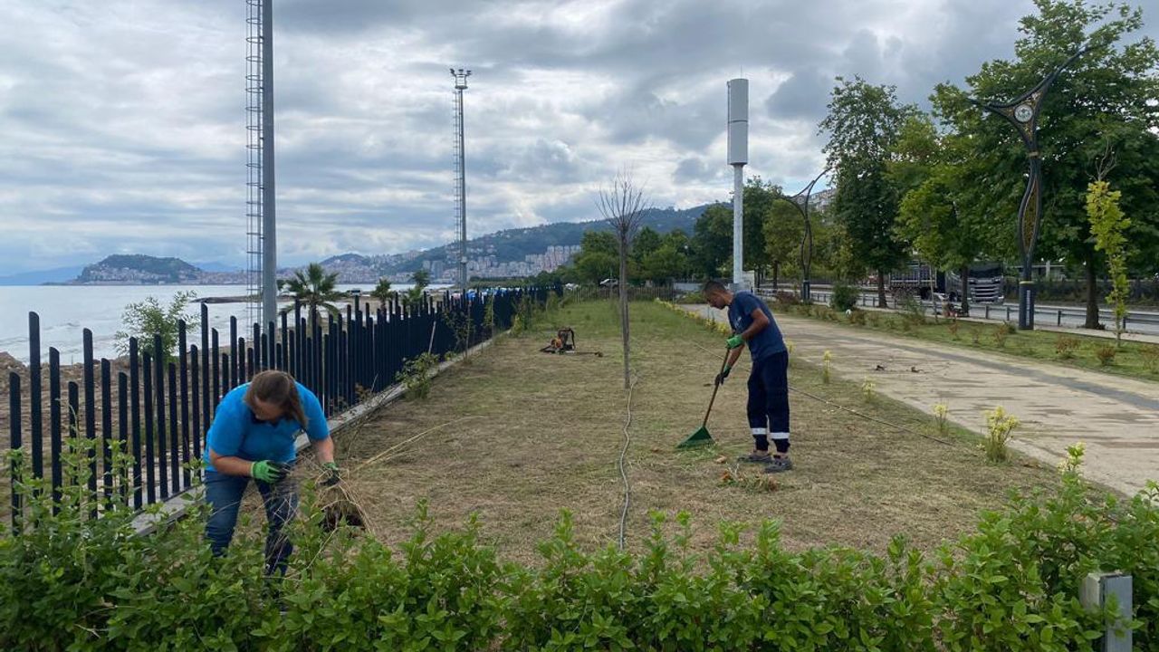Giresun Belediyesi Yabani Ot temizliği ve Ot biçme Çalışmalarına Şehrin Dört Bir Tarafında Devam Ediyor