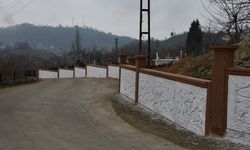 Espiye Belediyesi'nin mezarlıklarda çevre düzenleme çalışmaları sürüyor