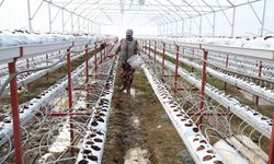 DOKAP'tan üretici ve çiftçiye 4 yılda 35 milyon lira destek
