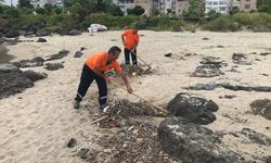 Espiye Belediyesi çevre temizlik çalışmalarını sürdürüyor