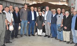 TMO Genel Müdürü Güldal, Giresun'da fındık alım merkezlerini ziyaret etti