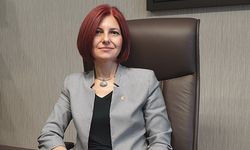 İstanbul Milletvekili Emine Gülizar Emelcan, "Bu ısrarın sebebi nedir?"