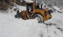 42 köy yolu kar nedeniyle ulaşıma kapandı