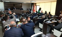 Belediye Meclisi Mart ayı 2’nci toplantısını yaptı