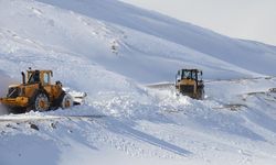 Giresun'da kar dolayısıyla 27 köy yolu ulaşıma kapandı