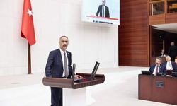 AK Parti Sakarya Milletvekili ve FİSKOBİRLİK Yönetim Kurulu Başkanı Bayraktar, "Fındığı siyasete malzeme yapmayın"