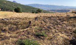 Şebinkarahisar'da buğday ekili tarla yandı