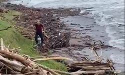 Aşırı yağış sonrası deniz kenarında biriken ağaçları vatandaşlar topluyor