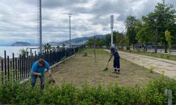 Giresun Belediyesi Yabani Ot temizliği ve Ot biçme Çalışmalarına Şehrin Dört Bir Tarafında Devam Ediyor