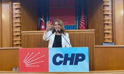 CHP'li Gezmiş, "Önergelerin takipçisi olacağım"
