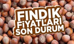 Fındık fiyatları stabil hale geldi