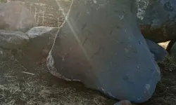 Yuvarlanan kayanın çarpması sonucu hayatını kaybetti