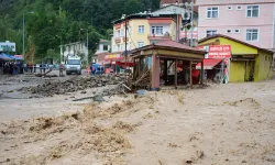 Giresun'a sel afetlerinin yaralarının sarılması için 230 milyon lira ödenek aktarılacak