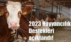 2023 Yılı Hayvancılık Desteklemeleri Başvuru Tarihleri Belli Oldu
