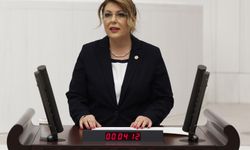 CHP'li Gezmiş, Giresun'un ekonomik, sosyal, kültürel alanlardaki eksikliklerini Meclis'e taşıdı