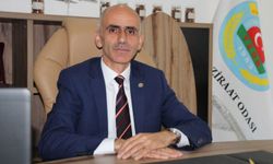 Giresun Ziraat Odası Başkanı Nurittin Karan, fındık üreticilerine sigorta çağrısı yaptı