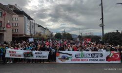 TÜGVA Giresun İnsan Hakları Gününde Filistin'e destek yürüyüşünde