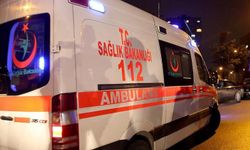 Giresun'da dereye devrilen kamyonetteki 3 kişi yaralandı