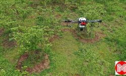 Ordulu Üretici Bahçesini Drone İle İlaçlıyor !
