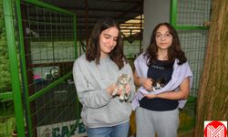 Giresun'da Öğrenciler Hayvanat Bahçesini Ziyaret Ederek Mama Desteğinde Bulundu