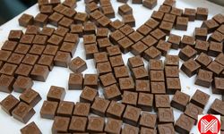 Torku Spesiyal İkramlık Çikolata Yapımında Giresun Fındığı Tercih Edildi