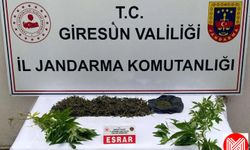 7 kişi tutuklandı... Aralarında doktorlar var!