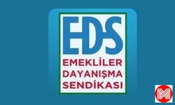 Emekliler Dayanışma Sendikası Giresun Şubesinden TÜİK Ve İktidara Çağrı