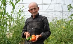 Bayburt'ta bir çiftçi "Ata tohumu memleket meselesi"