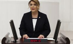 CHP Milletvekili Elvan Işık Gezmiş, Giresun'un Sahipsizliğini Meclis Kürsüsünden Anlattı