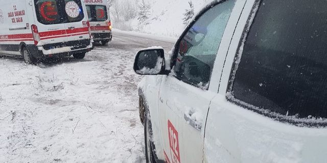 Giresun'da devrilen kamyonetteki 4 kişi yaralandı