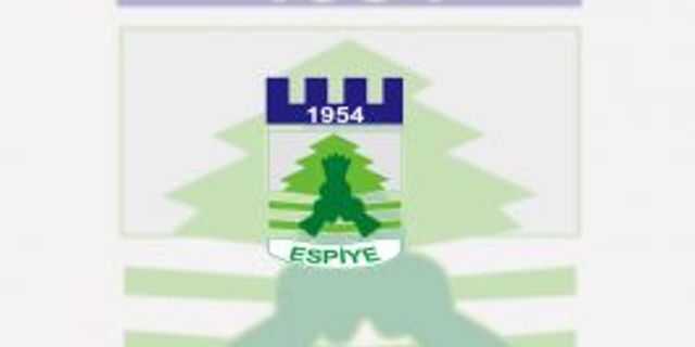 Espiye Belediyesi Çakıl ve Karışık Malzeme Alımı ihaleye çıkacak