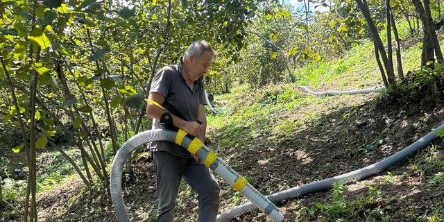 Bulancak'ta fındığı makine ile hasat eden üretici maliyeti düşürdü