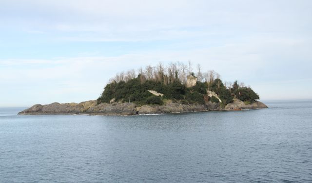 Giresun Adası bu sene ziyarete kapalı olacak