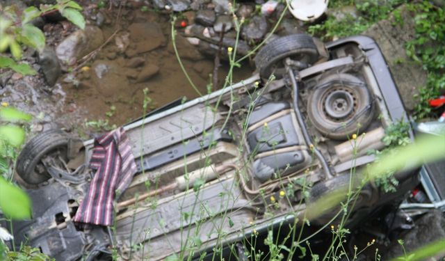 Giresun'da kamyonetin devrilmesi sonucu aynı aileden 3 kişi yaralandı