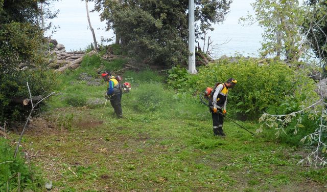 Turizm Sezonu öncesi ada da temizlik çalışması yapıldı