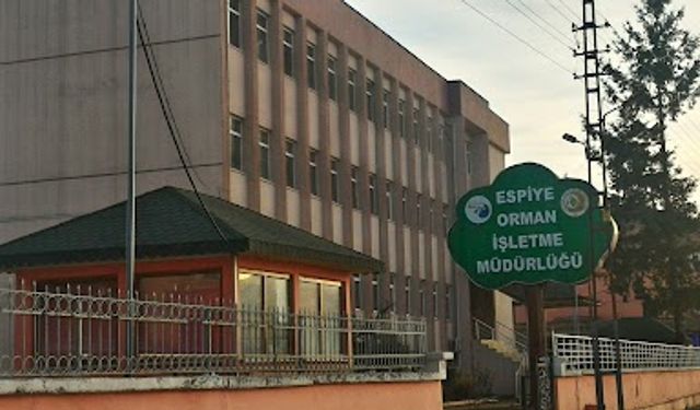 Espiye Orman İşletme Şefliği Çileklitepe ve Üçtepe orman yol yapımı ihaleye çıkacak