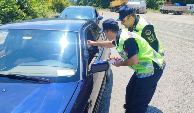 Espiye'de jandarmadan trafik denetimi