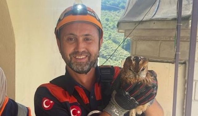 Giresun'da minarede mahsur kalan yavru baykuş kurtarıldı