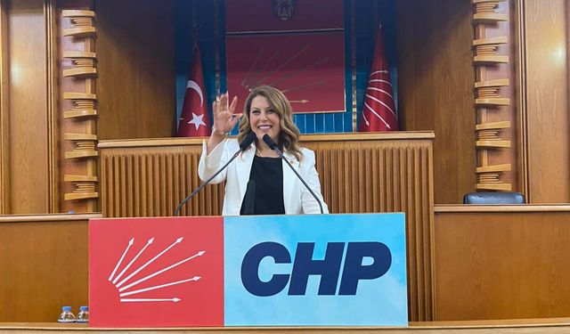 CHP'li Gezmiş, "Önergelerin takipçisi olacağım"