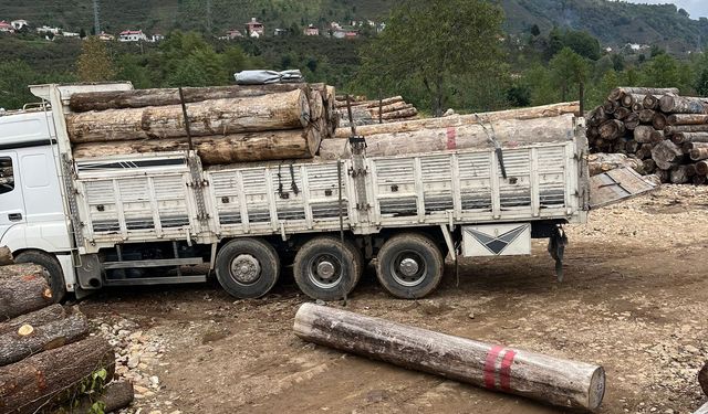 Üzerine tomruk düşen kişi hayatını kaybetti