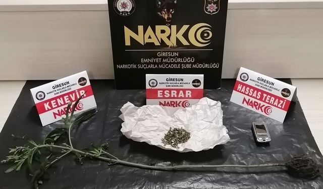 Giresun İl Emniyet Müdürlüğü'nden Narkotik Operasyonu