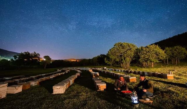 Giresunlu Fotoğraf sanatçısı Engin Ayyıldız'a ödül