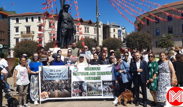 Giresun Hayvan Hakları Koruma Derneği: ''Uyutmak Cinayettir''